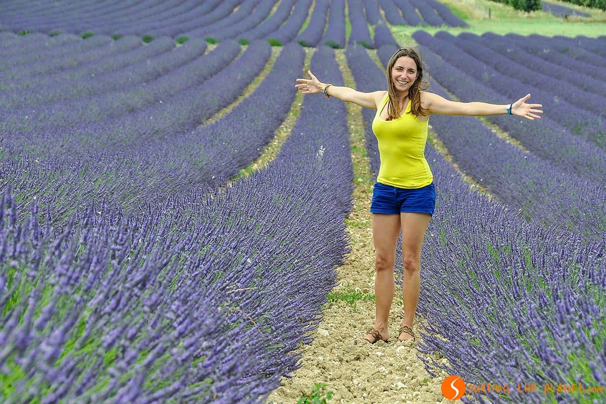Campo de Lavanda en los alrededores de Réauville | Ruta de la lavanda en la Provenza