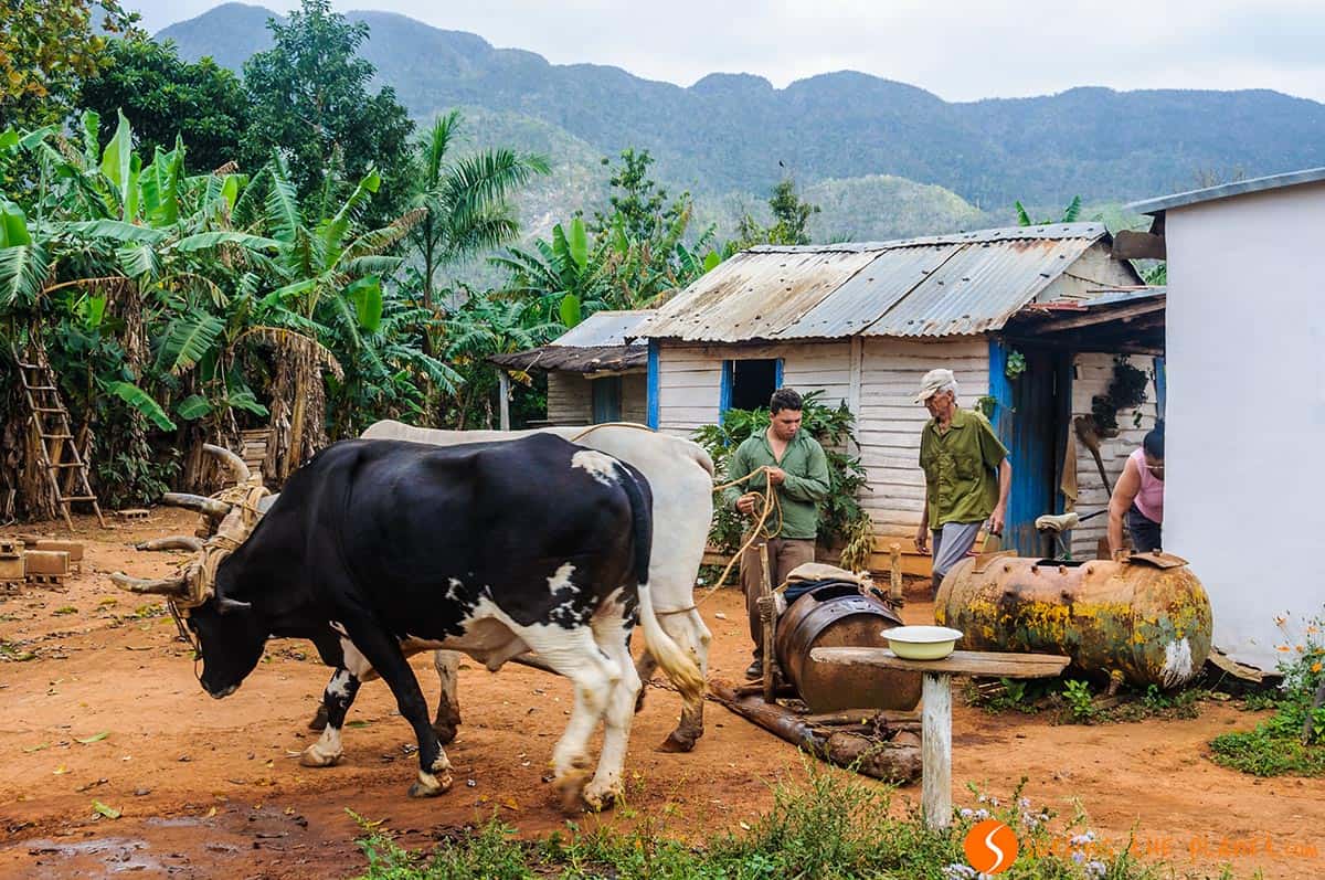 Casa típica en el Valle de Viñales, Viñales, Cuba | Que ver en Valle de Viñales