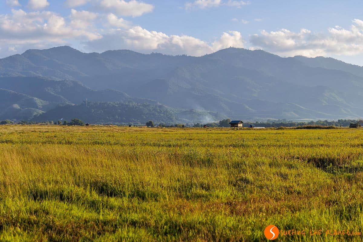 Arrozal, Muang Sing, Laos Arrozal, Muang Sing, Laos