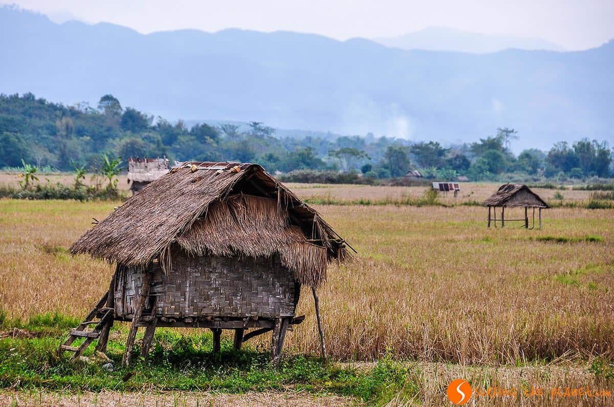 Paisaje Rural, Luang Nam Tha, Laos Paisaje Rural, Luang Nam Tha, Laos