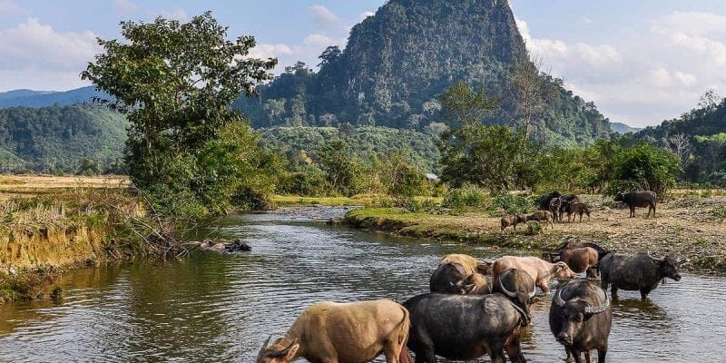 Paisaje rural, Muang Ngoi, Laos