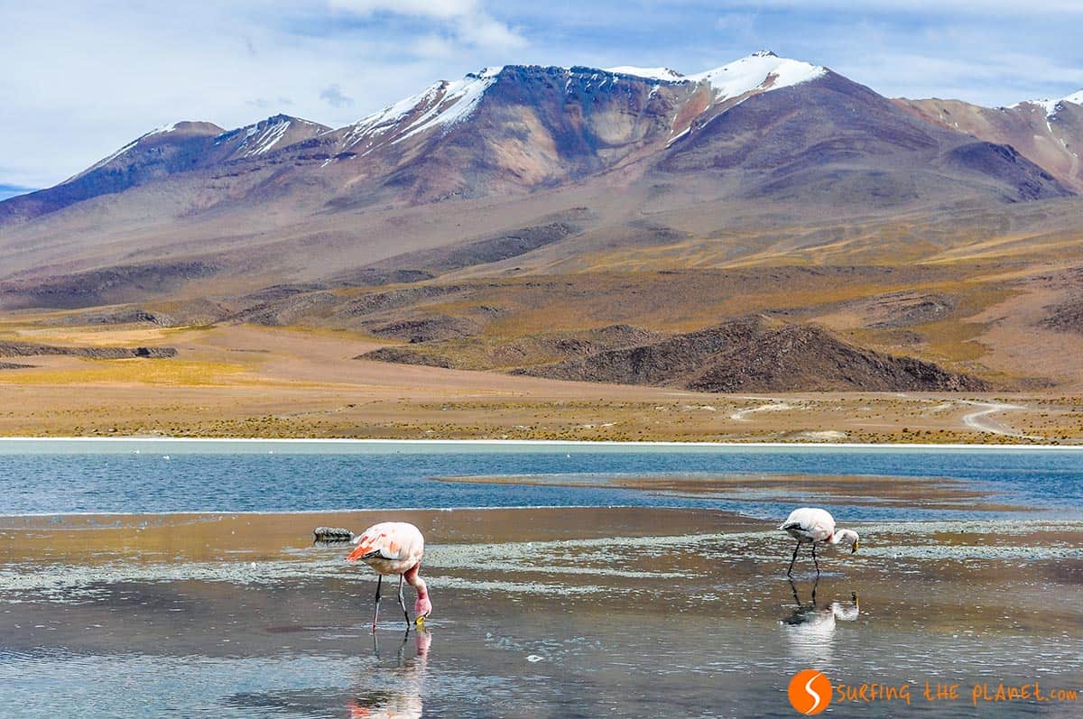 Reserva Nacional Eduardo Avaroa Reserva Nacional Eduardo Avaroa