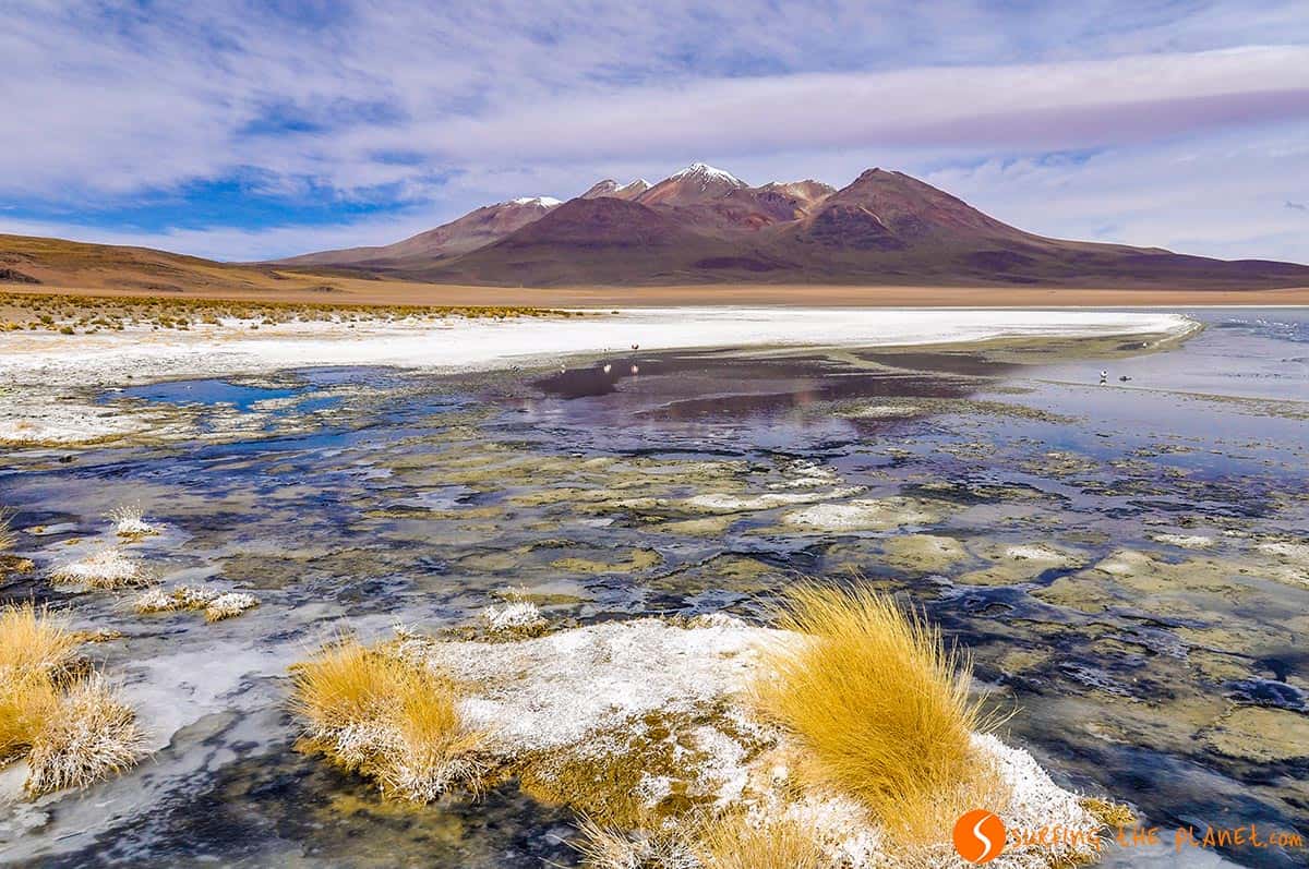 Laguna Colorada, Eduardo Avaroa National Reserve, Bolivia