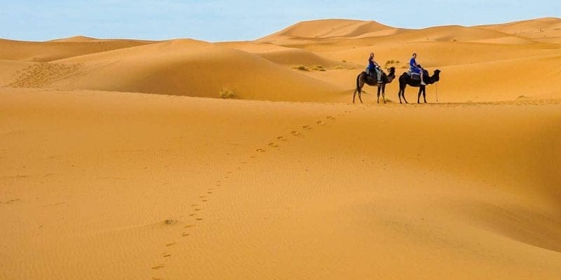Excursión al Desierto de Merzouga | Dromedarios, Desierto de Merzouga, Marruecos