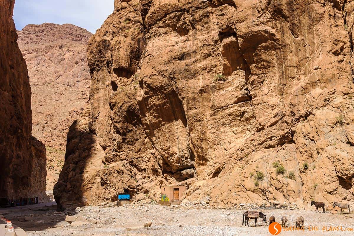 Todgha Gorges, Morocco Todgha Gorges, Morocco