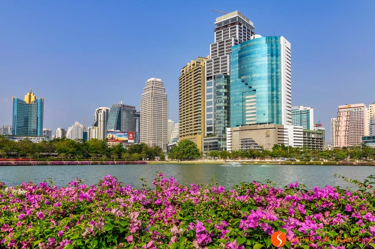 Parque Benjakitti, Bangkok | Que visitar en Bangkok en 3 días Parque Benjakitti, Bangkok | Que visitar en Bangkok en 3 días