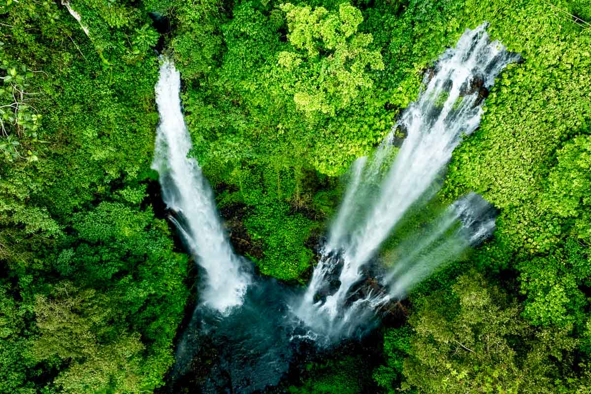 Cascata di Sekumpul, Bali | Itinerario di una settimana a Bali
