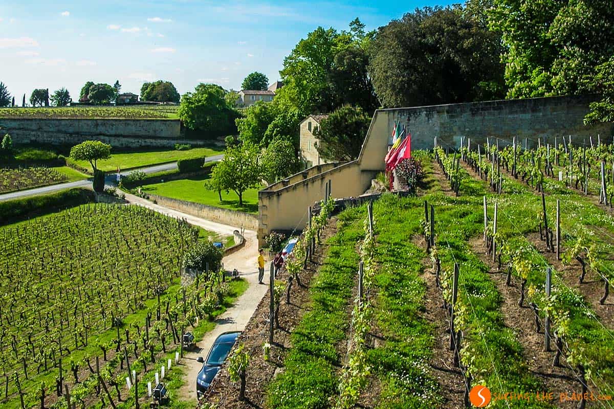 Vineyards near Bordeaux, France | Things to do in Bordeaux Vineyards near Bordeaux, France | Things to do in Bordeaux