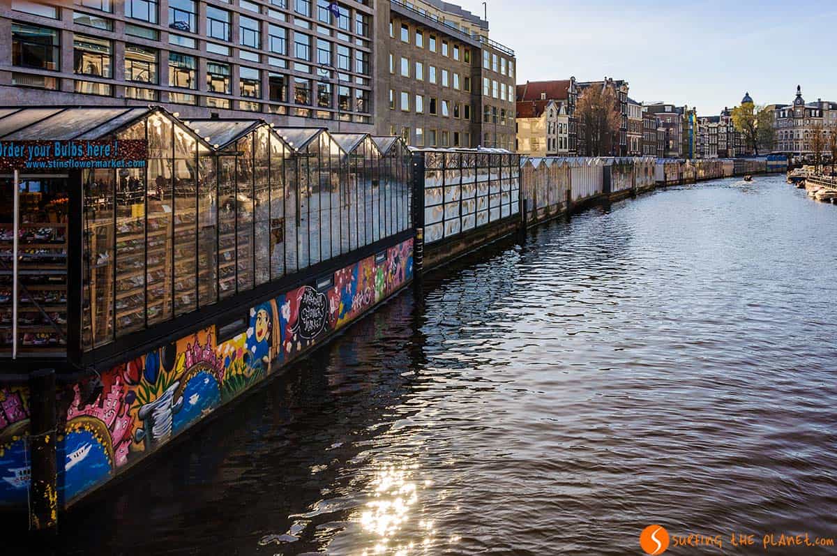 Mercato dei Fiori, Amsterdam, Paesi Bassi | Cosa fare ad Amsterdam in 4 giorni Mercato dei Fiori, Amsterdam, Paesi Bassi | Cosa fare ad Amsterdam in 4 giorni