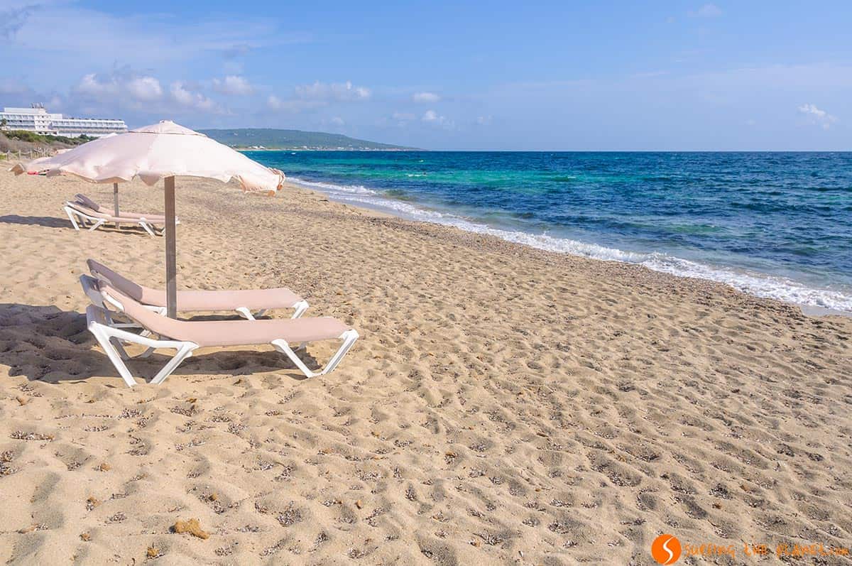 Beach in Migjorn Beach Formentera, Spain | The best beaches in Formentera Beach in Migjorn Beach Formentera, Spain | The best beaches in Formentera