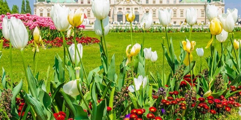 Que ver en Viena | Palacio Belvedere, Viena, Austria
