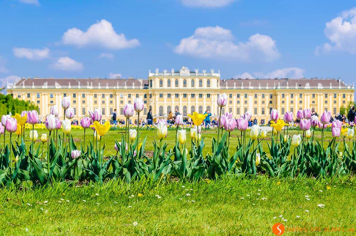 Palacio Schonbrunn, Viena, Austria | Visitar a Budapest o Praga o Viena Palacio Schonbrunn, Viena, Austria | Visitar a Budapest o Praga o Viena
