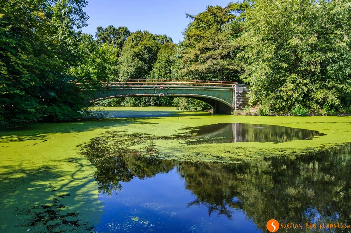 Prospect Park, Brooklyn, Nueva York | Que hacer en Nueva York en 7 días Prospect Park, Brooklyn, Nueva York | Que hacer en Nueva York en 7 días