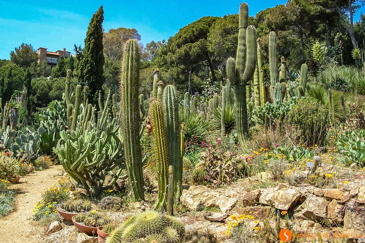 Jardín Botánico, Blanes, Costa Brava | Pueblos bonitos de la Costa Brava Jardín Botánico, Blanes, Costa Brava | Pueblos bonitos de la Costa Brava