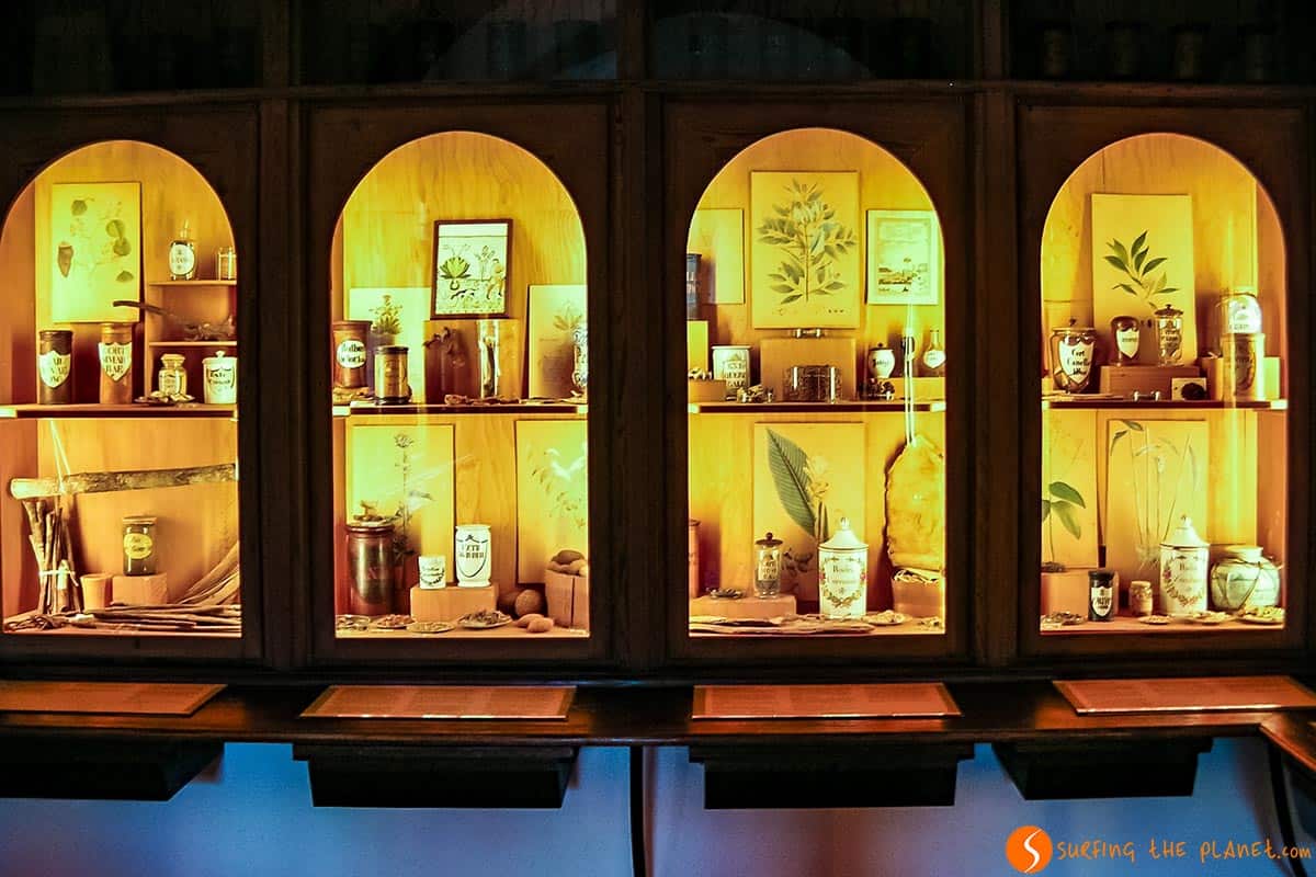 Museo Farmacia, Heidelberg, Alemania | Qué ver en Heidelberg en 1 día