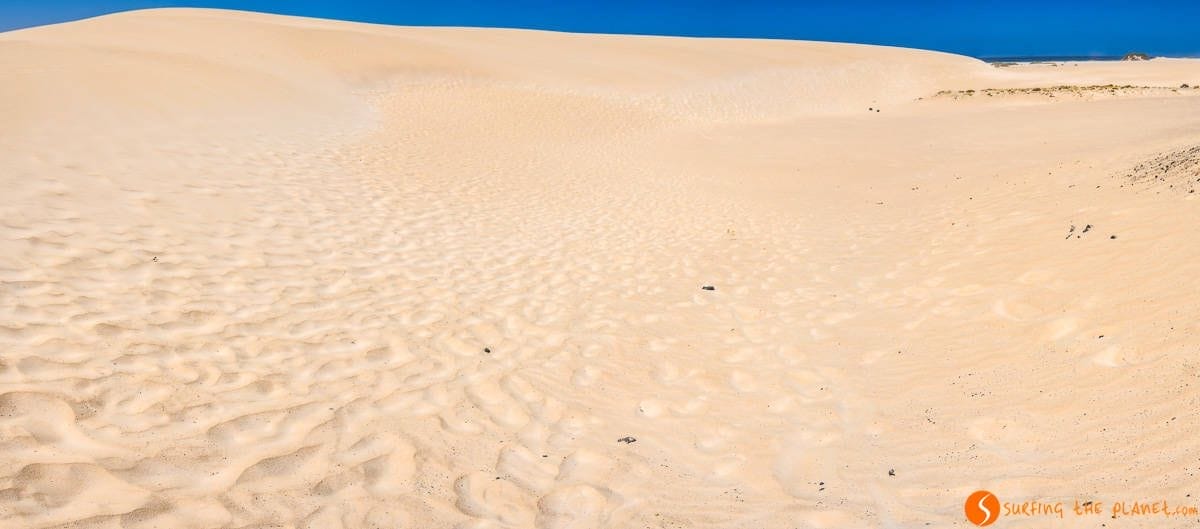 Dunes in Corralejo, Fuerteventura Dunes in Corralejo, Fuerteventura