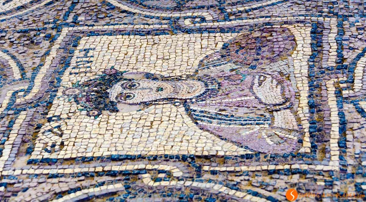 Mosaico, Iglesia Bizantina, Petra, Jordania | Qué hacer en Petra en 1 día Mosaico, Iglesia Bizantina, Petra, Jordania | Qué hacer en Petra en 1 día
