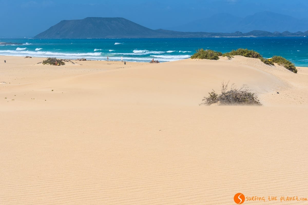 Beach in Corralejo Natural Park, Fuerteventura | What to visit in Fuerteventura in 4 days Beach in Corralejo Natural Park, Fuerteventura | What to visit in Fuerteventura in 4 days