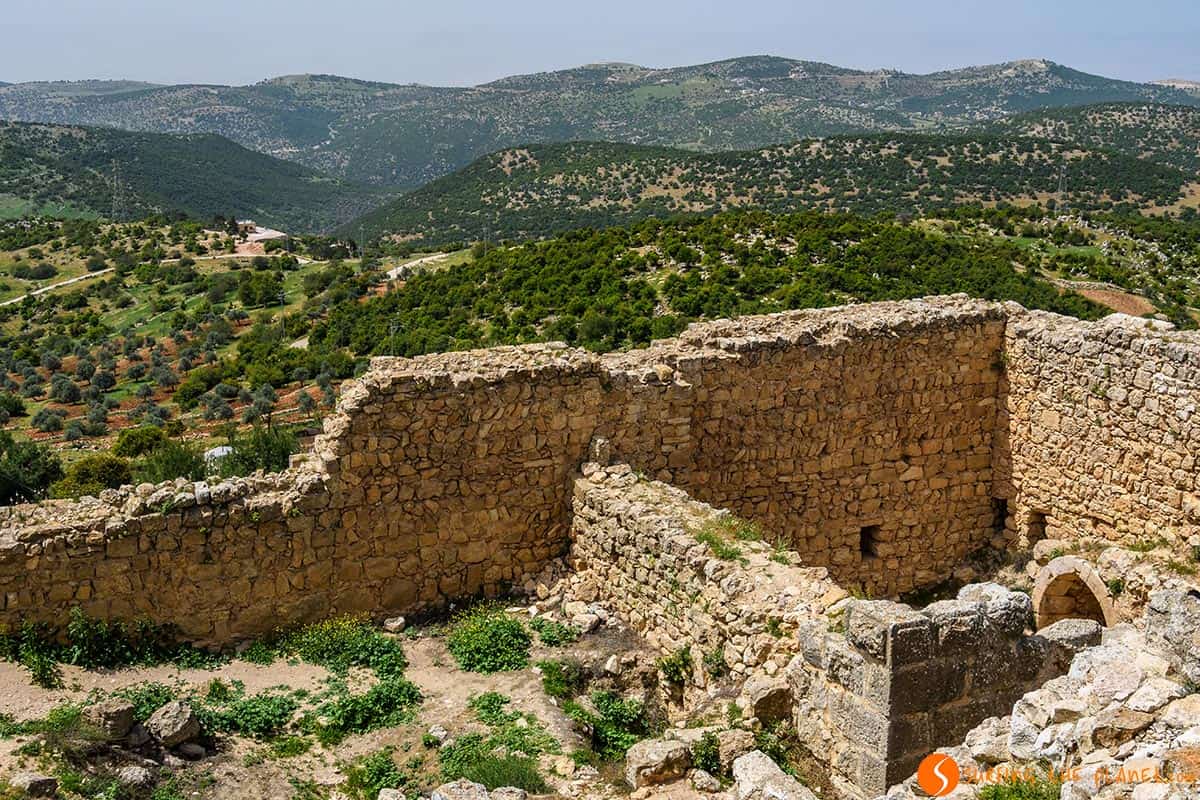 Vistas desde el Castillo de Ajloun, Jordania Vistas desde el Castillo de Ajloun, Jordania