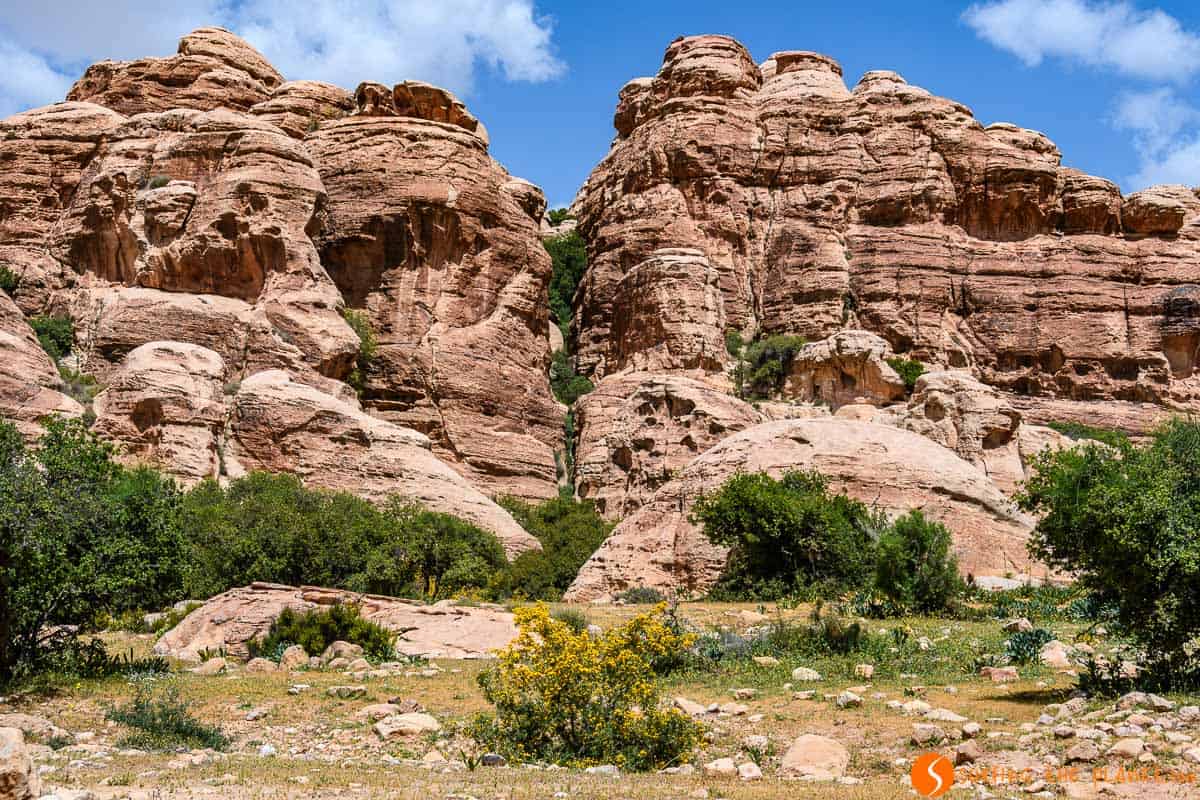 Roca roja, Reserva de la Biosfera de Dana, Jordania | Qué hacer en la Reserva de Dana Roca roja, Reserva de la Biosfera de Dana, Jordania | Qué hacer en la Reserva de Dana