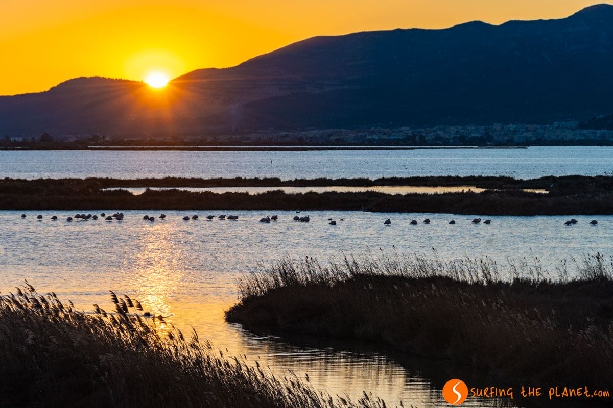 Atardecer, Delta del Ebro, Tarragona, Cataluña | Que visitar en el Delta del Ebro Atardecer, Delta del Ebro, Tarragona, Cataluña | Que visitar en el Delta del Ebro