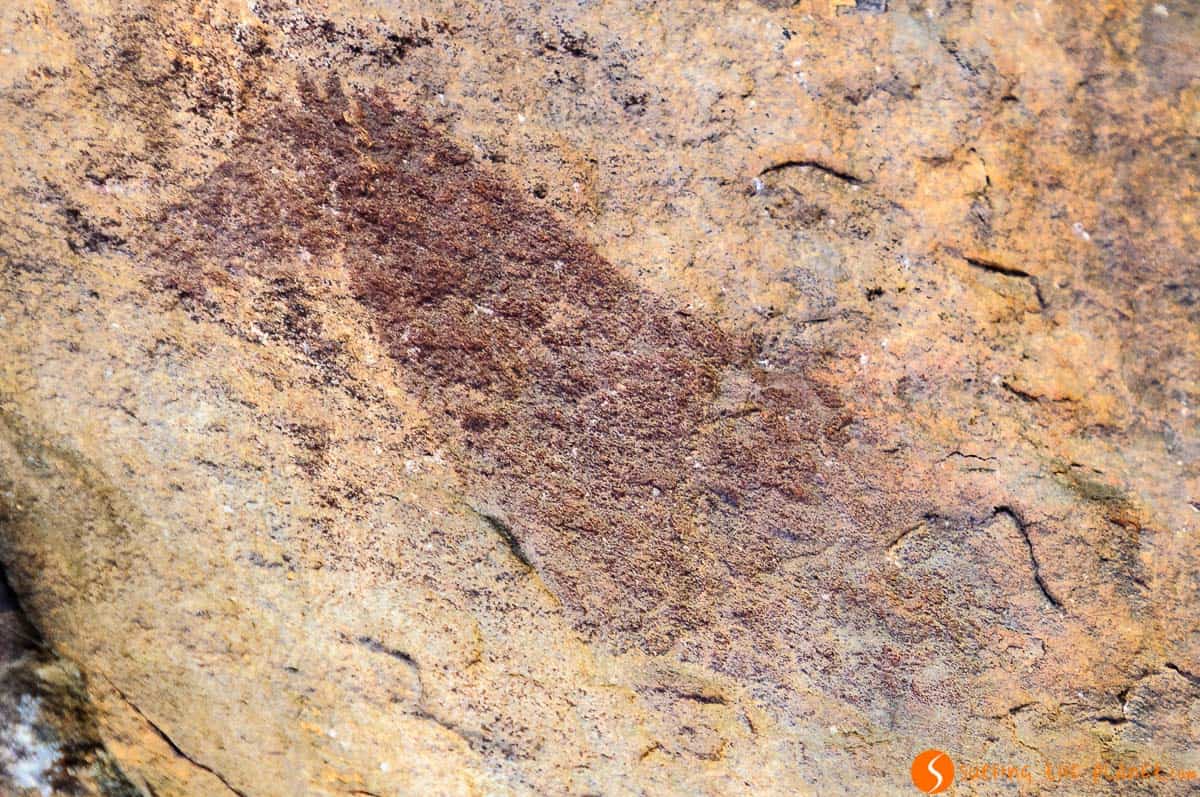 Pinturas rupestres, Pinares del Rodeno, Teruel, Aragón | Que ver en Albarracín Pinturas rupestres, Pinares del Rodeno, Teruel, Aragón | Que ver en Albarracín