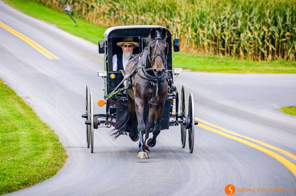 Hombre Amish en Carro Negro, Pensilvania | Qué ver en la Costa Este de Estados Unidos