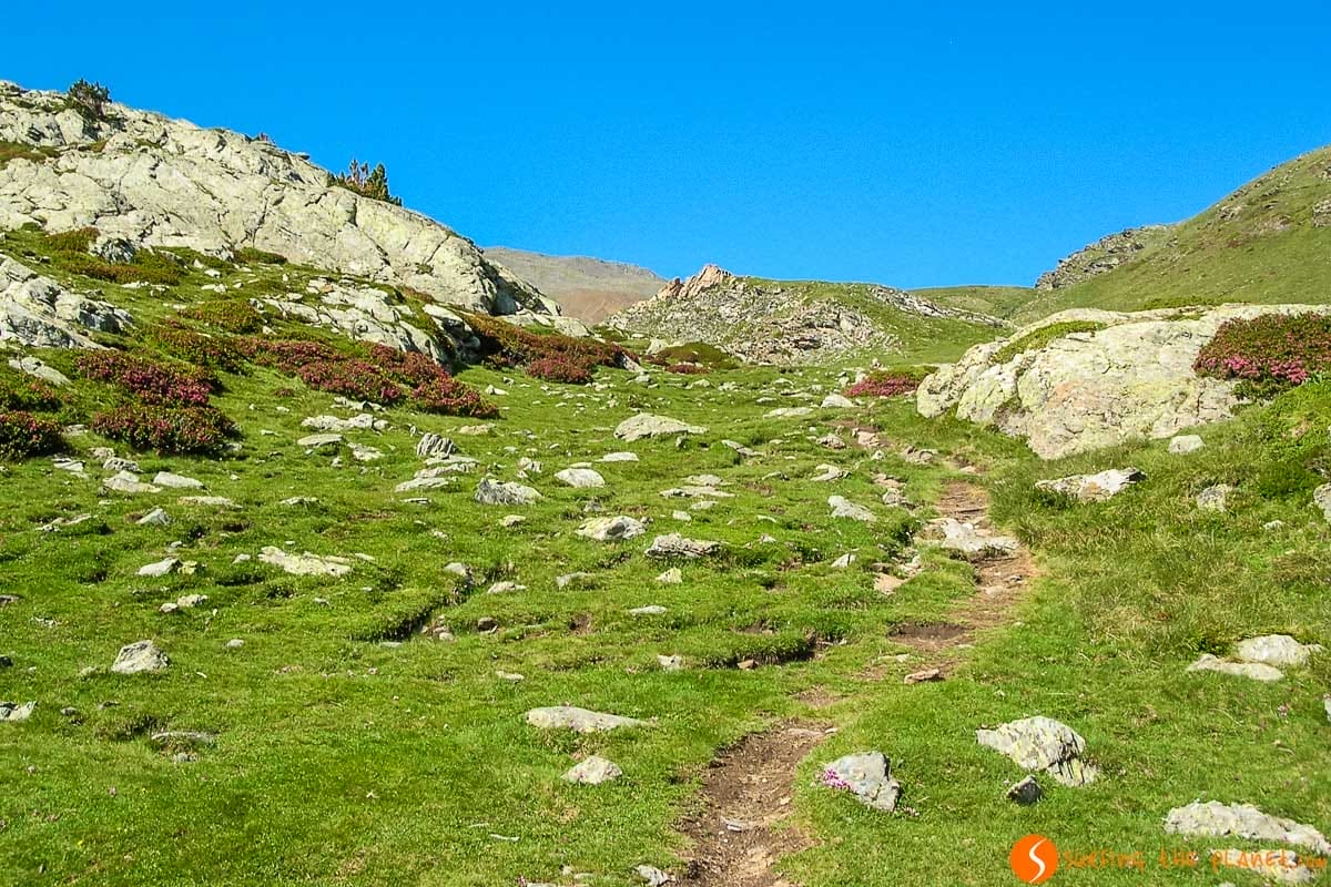 Paisaje verde en Puigmal, Vall de Núria, Cataluña, España Paisaje verde en Puigmal, Vall de Núria, Cataluña, España