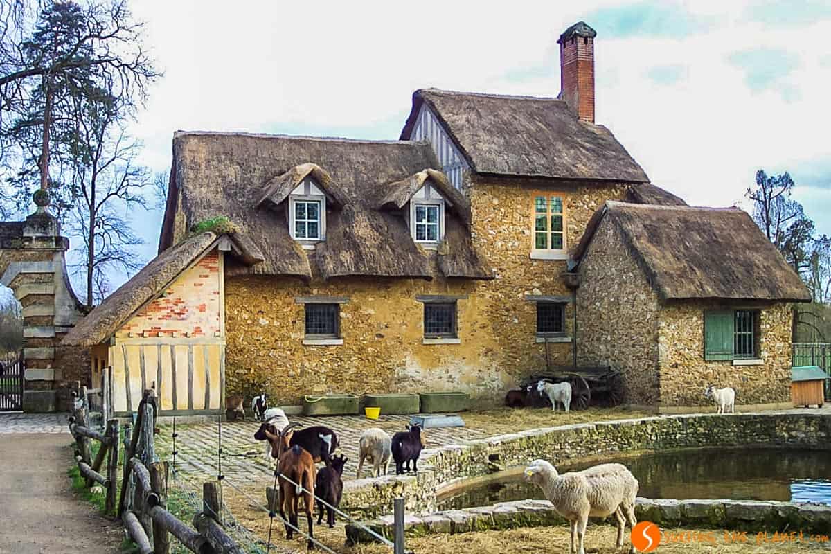 Animales en el Dominio de María Antoineta, Versalles, París | Que ver en Versalles