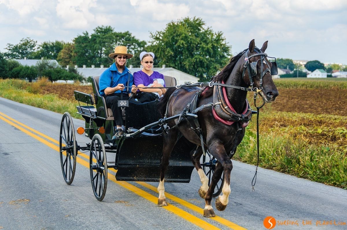 Familia en carro, Comunidad Amish de Lancaster, Pennsylvania, Estados Unidos | Excursión de visita al Condado de los Amish