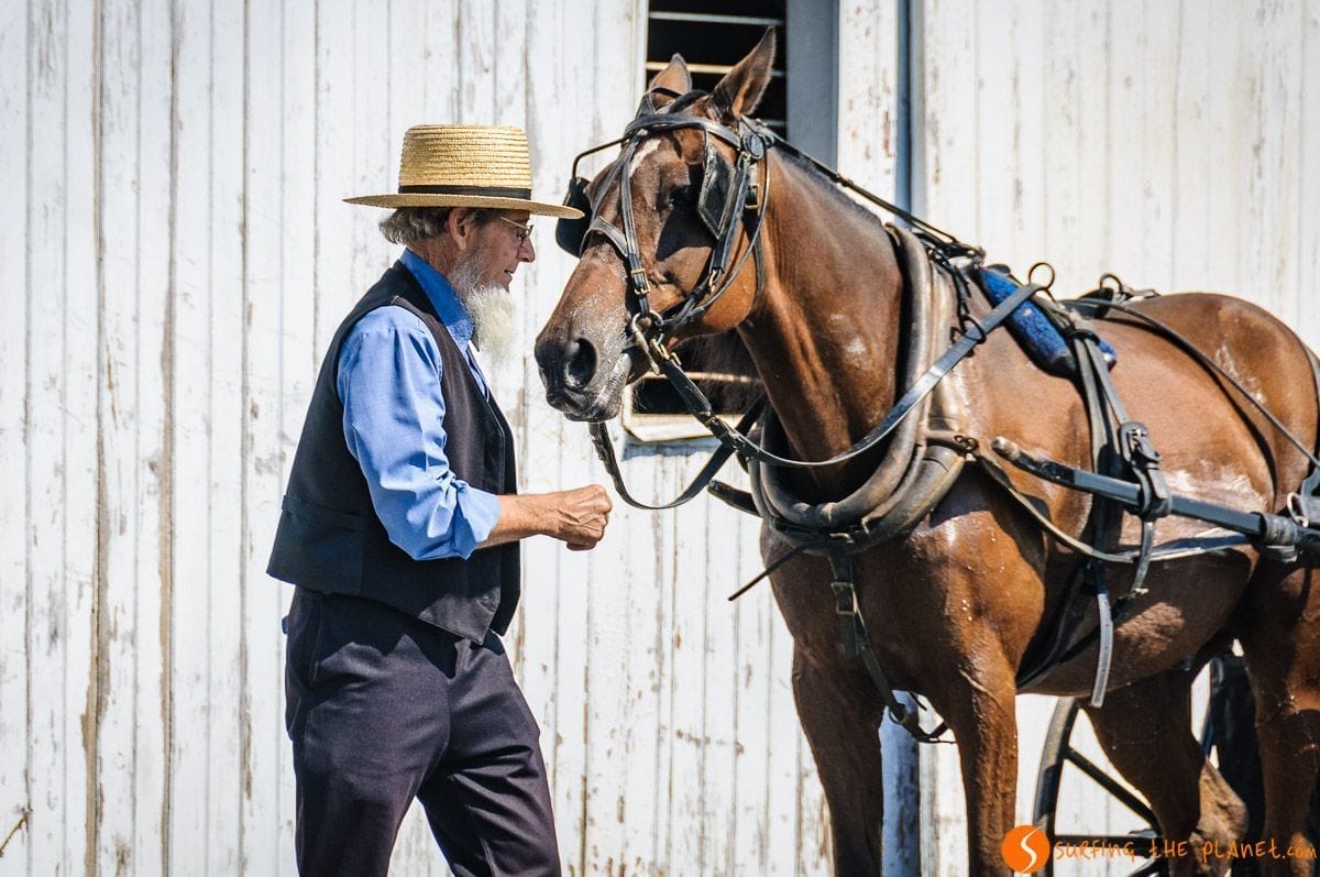 Hombre con el caballo, Comunidad Amish de Lancaster, Pennsylvania, Estados Unidos Hombre con el caballo, Comunidad Amish de Lancaster, Pennsylvania, Estados Unidos