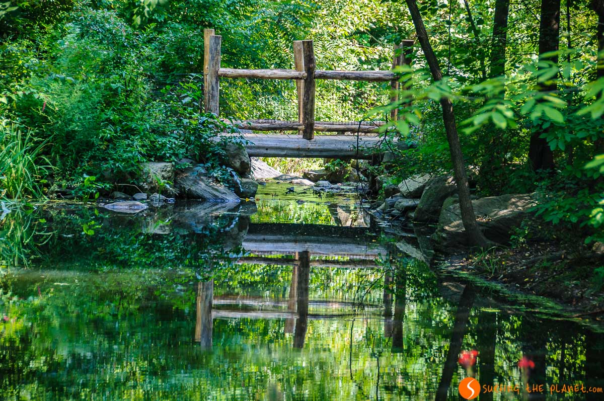 The Ravine, Central Park, Manhattan, Nueva York, Estados Unidos The Ravine, Central Park, Manhattan, Nueva York, Estados Unidos