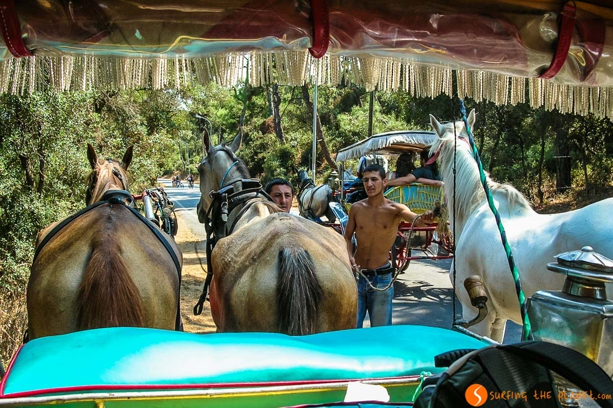 Calesas, Islas del Príncipe, Estambul, Turquía | Que hacer en Estambul en 4 días Calesas, Islas del Príncipe, Estambul, Turquía | Que hacer en Estambul en 4 días