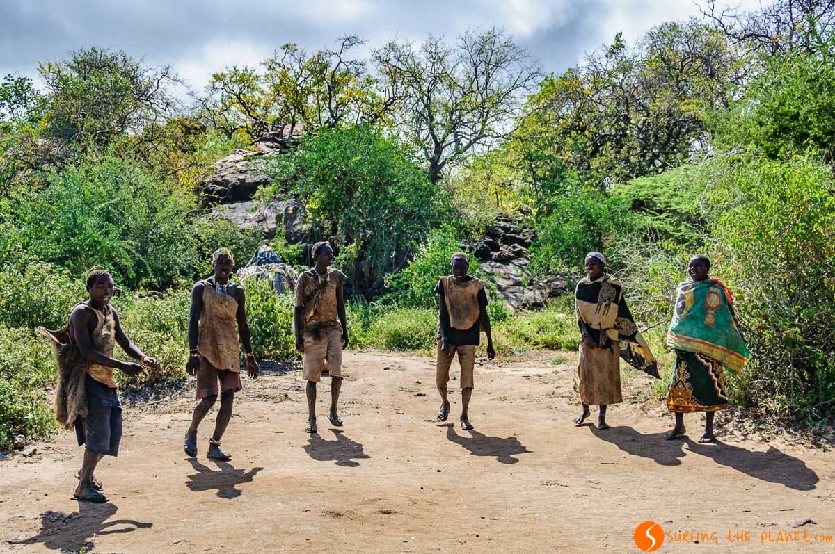 Baile tradicional, Tribu de Bosquimanos, Lago Eyasi, Tanzania Baile tradicional, Tribu de Bosquimanos, Lago Eyasi, Tanzania