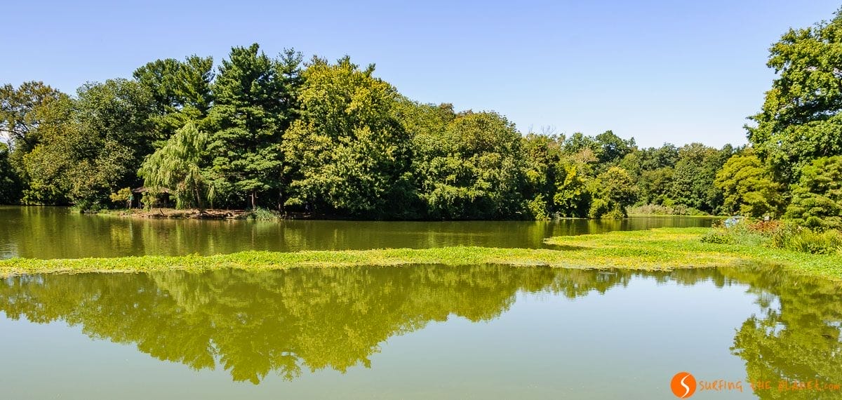 Lago en Prospect Park, Brooklyn, Nueva York | Que hacer en Brooklyn Lago en Prospect Park, Brooklyn, Nueva York | Que hacer en Brooklyn