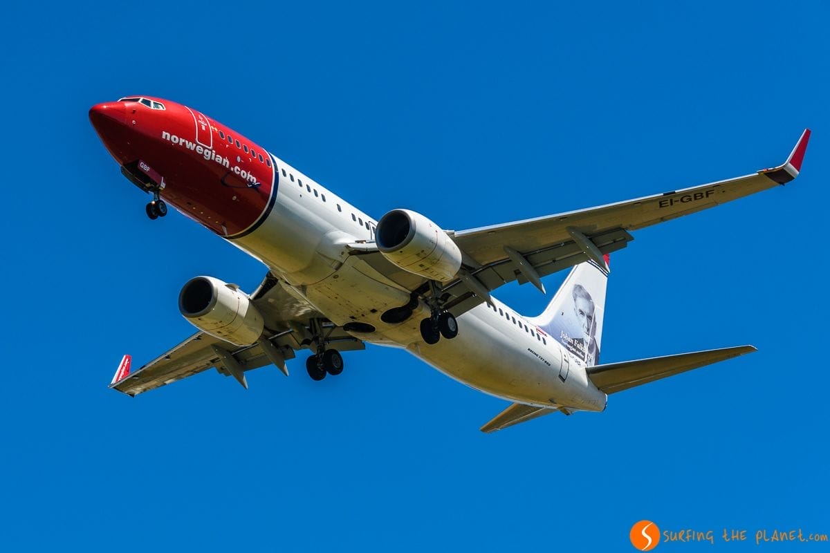 Avión desde cerca, Delta del Llobregat, Cataluña, España | Excursión al Delta del Llobregat desde Barcelona Avión desde cerca, Delta del Llobregat, Cataluña, España | Excursión al Delta del Llobregat desde Barcelona