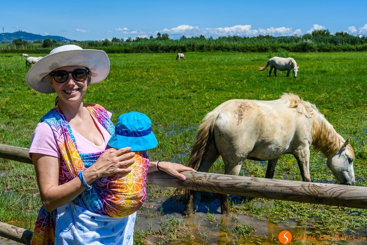 Con los caballos de la Camarga, Delta del Llobregat, Cataluña, España | Qué ver y hacer en el Delta del Llobregat Con los caballos de la Camarga, Delta del Llobregat, Cataluña, España | Qué ver y hacer en el Delta del Llobregat