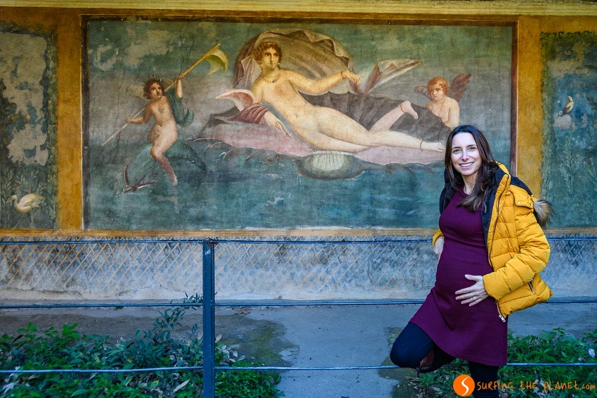 House of Venus della Concha, Pompeii near Naples, Italy House of Venus della Concha, Pompeii near Naples, Italy