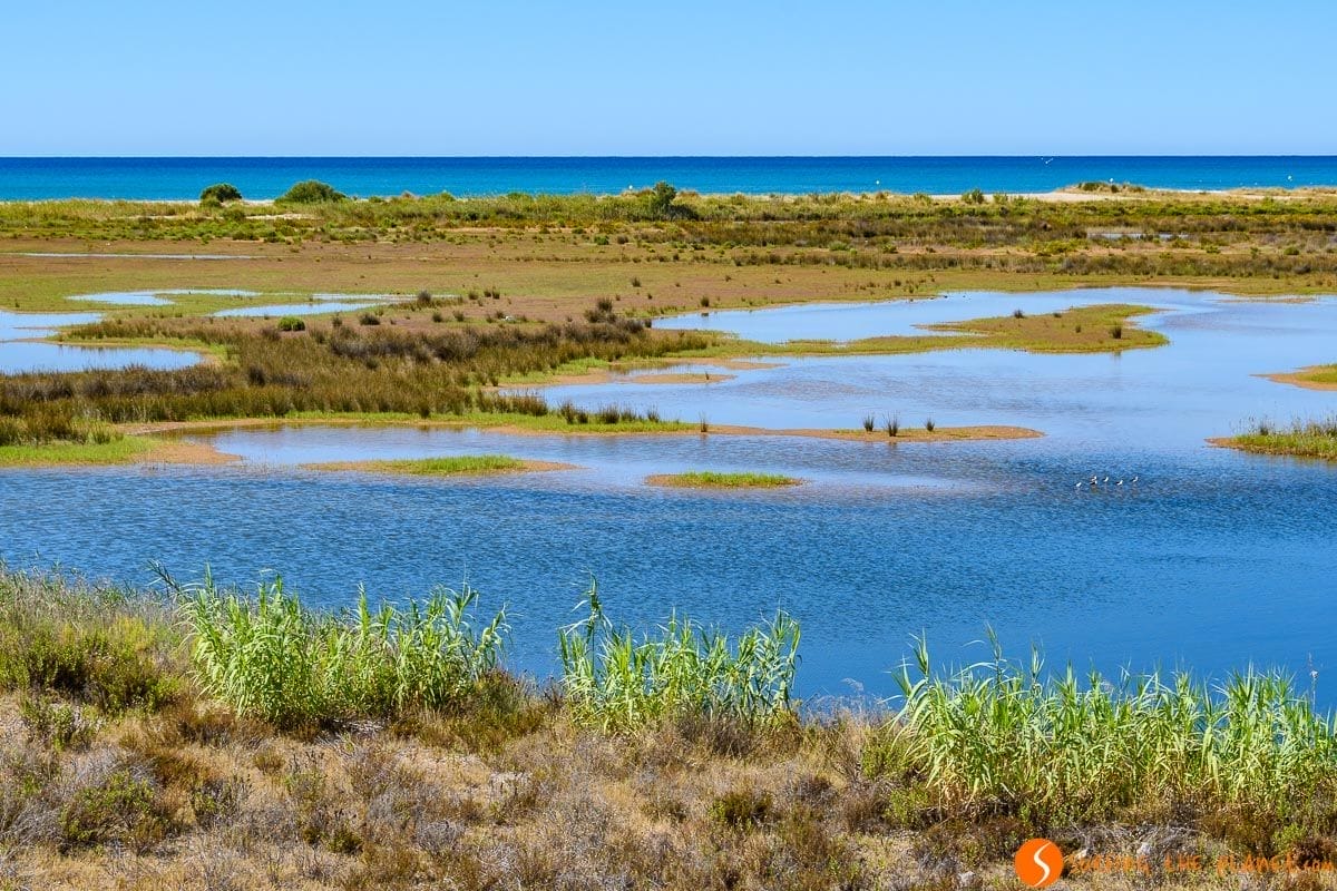 Paisaje con playa, Delta del Llobregat, Cataluña, España