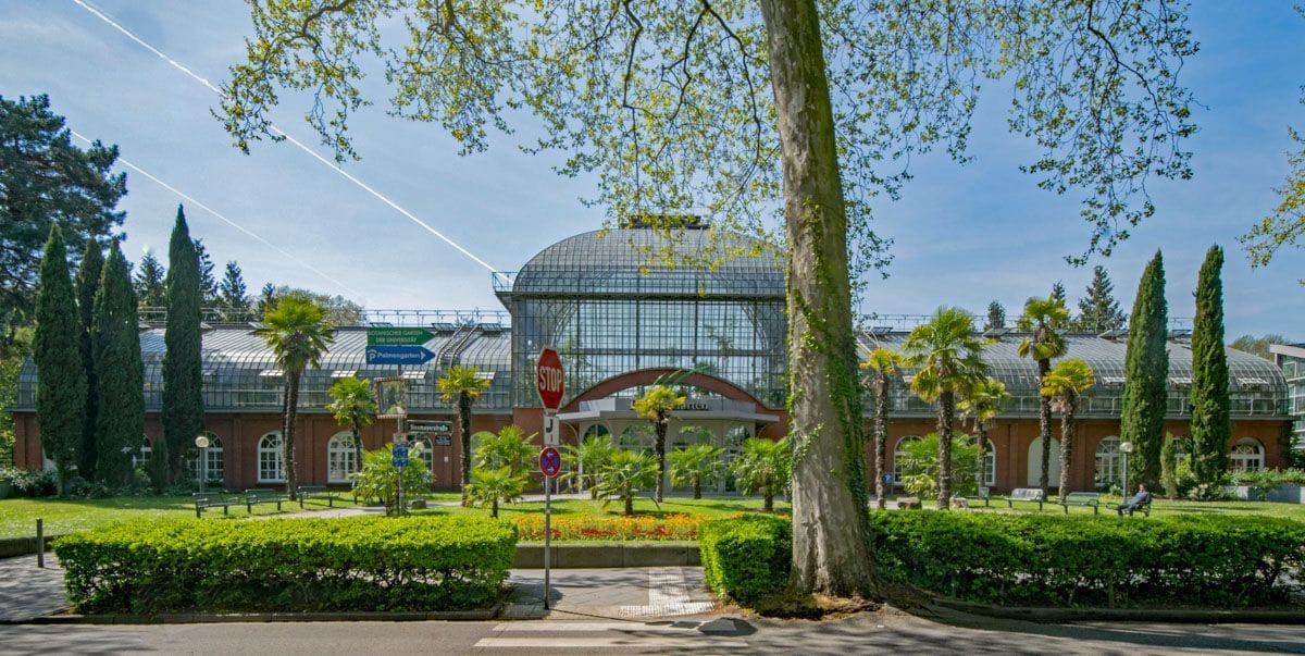 Jardín de Palmeras, Frankfurt, Alemania Jardín de Palmeras, Frankfurt, Alemania