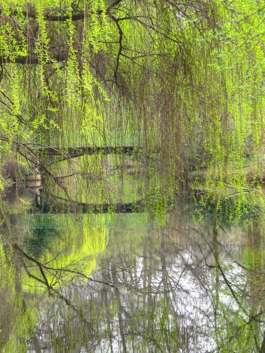 Tiergarten, Berlín, Alemania Tiergarten, Berlín, Alemania