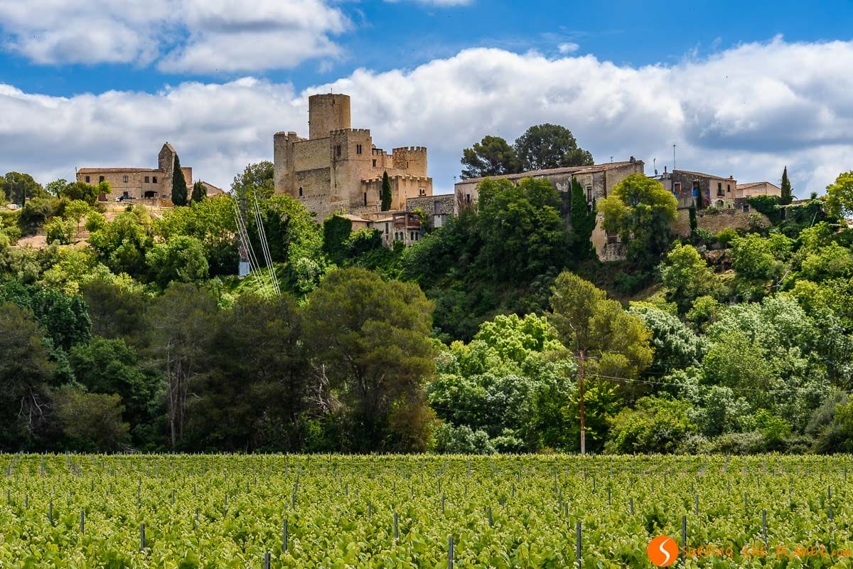 Paisaje típico, El Penedès, Cataluña, España | Las 22 mejores escapadas por Cataluña Paisaje típico, El Penedès, Cataluña, España | Las 22 mejores escapadas por Cataluña