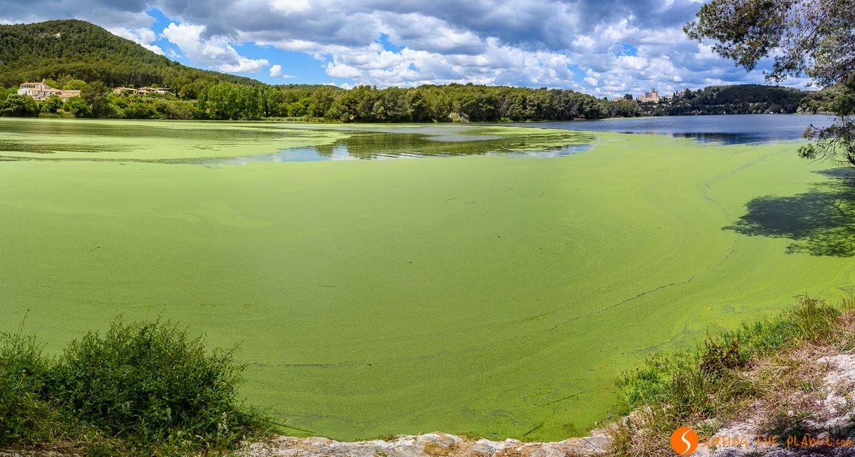 Pantano de Foix, El Penedès, Cataluña, España Pantano de Foix, El Penedès, Cataluña, España