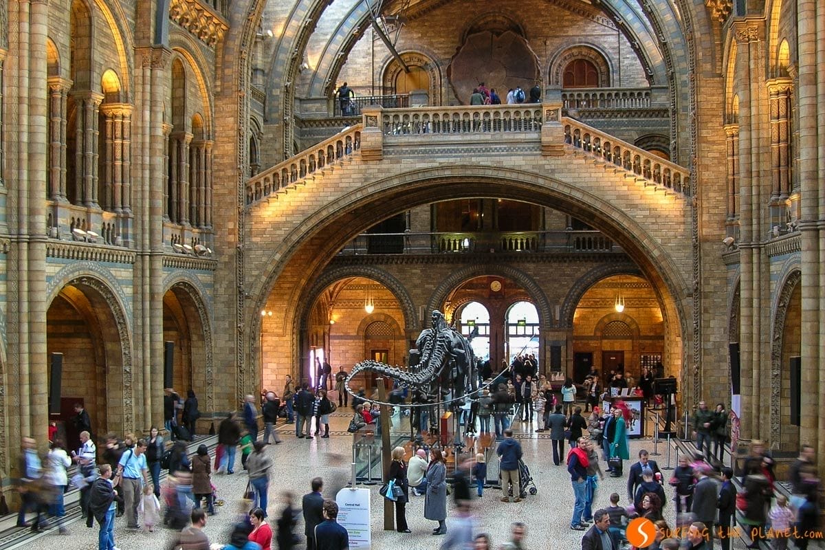 Museo Historia Natural, Londres, Inglaterra | Que ver en Londres en 3 días Museo Historia Natural, Londres, Inglaterra | Que ver en Londres en 3 días