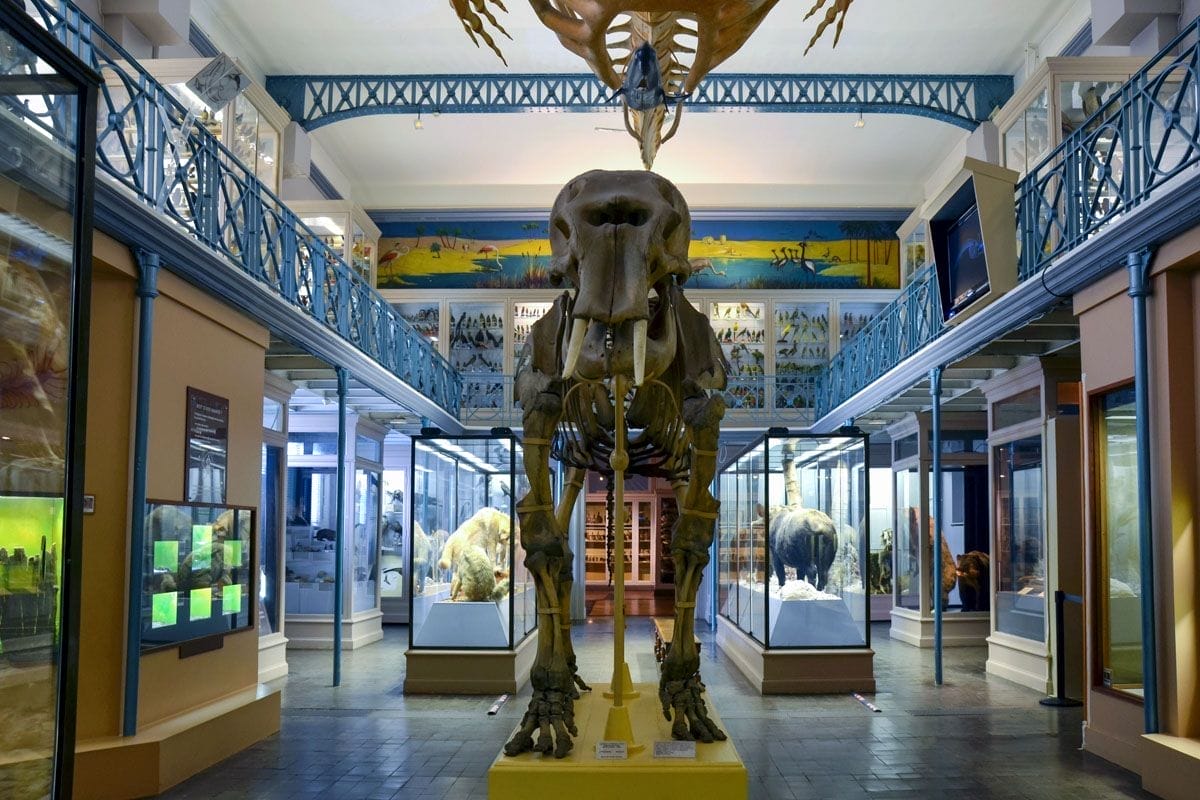 Museo Historia Natural, París, Francia Museo Historia Natural, París, Francia