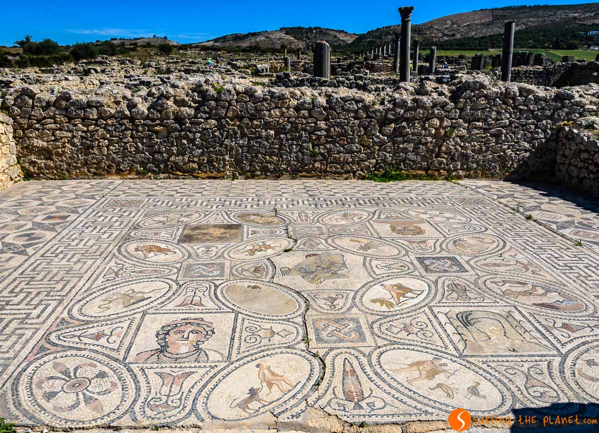 Mosaico, Volubilis, Marruecos | Qué visitar en Marruecos Mosaico, Volubilis, Marruecos | Qué visitar en Marruecos