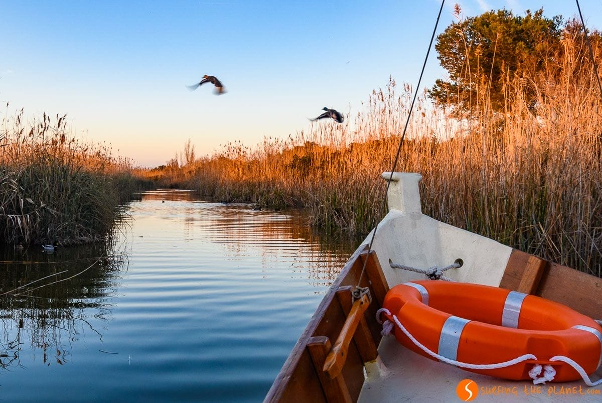 Albufera, Provincia de Valencia, Comunidad Valenciana Albufera, Provincia de Valencia, Comunidad Valenciana