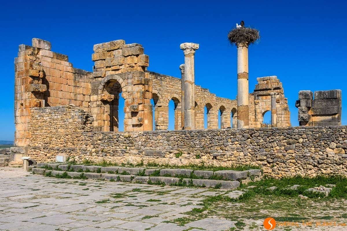 Basílica, Volubilis, Marruecos Basílica, Volubilis, Marruecos