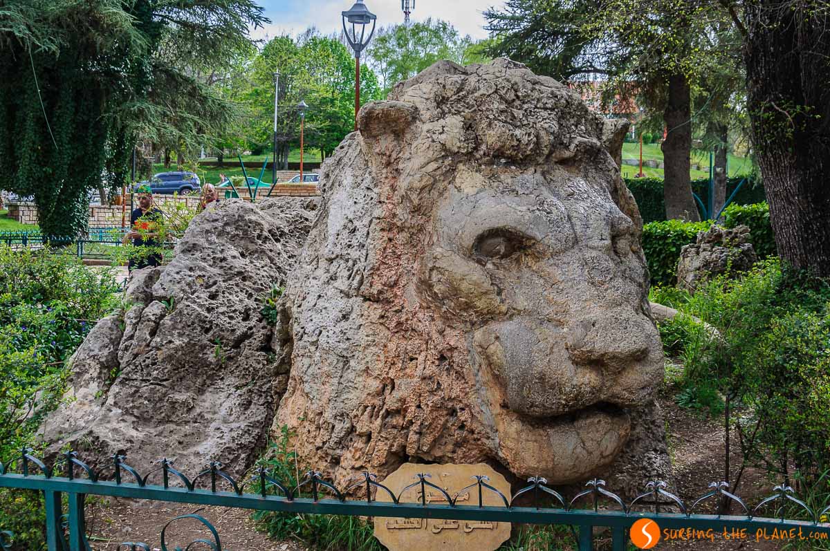 León de Ifrane, Marruecos León de Ifrane, Marruecos