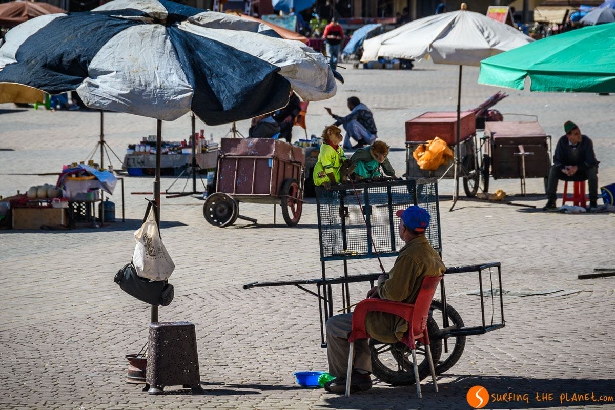 Plaza el Hedim, Meknes, Marruecos Plaza el Hedim, Meknes, Marruecos